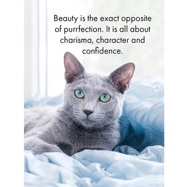 20 Kitty Quotes From TATB That Pair With Your Sassy Selfies