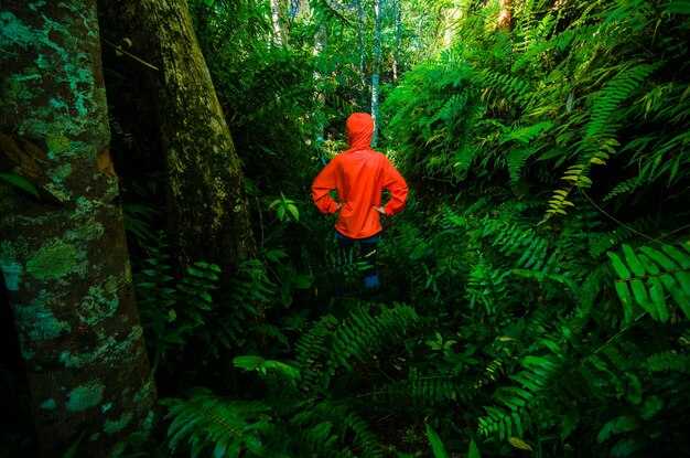 Pat McAfee’s reaction: summary of his statements and audience impact