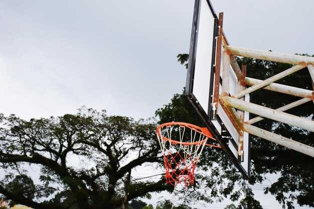 Dyan Cannon – Lakers Courtside Seats, Brownies, and Championship Belief