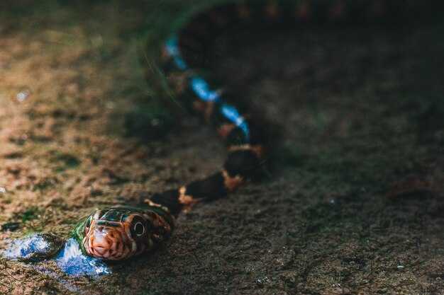 Angel Tree in San Antonio: eligibility, application steps, and how families benefit