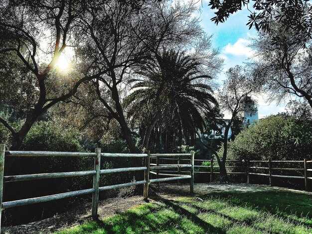 Viewing Timeline and Access: Release Dates, Platforms, and Promo Windows